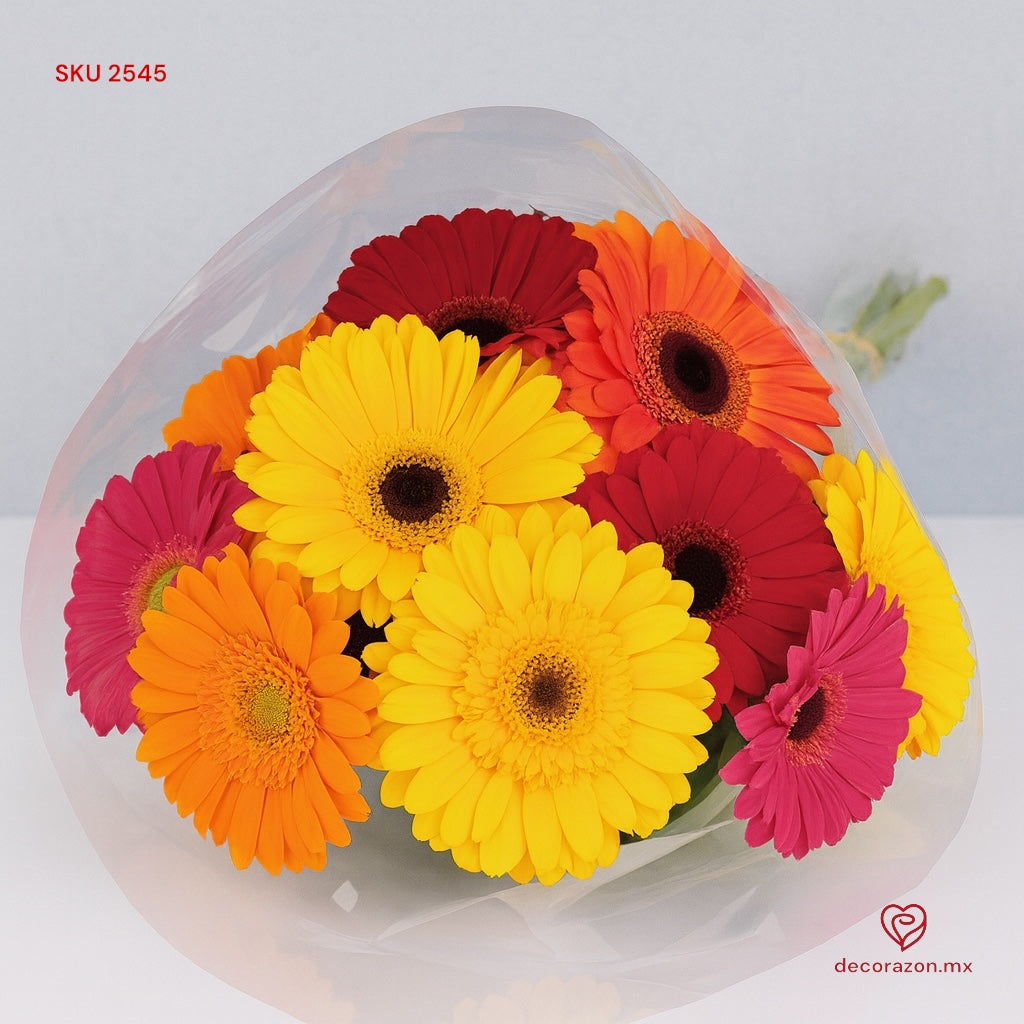 10 Gerberas coloridas en celofán