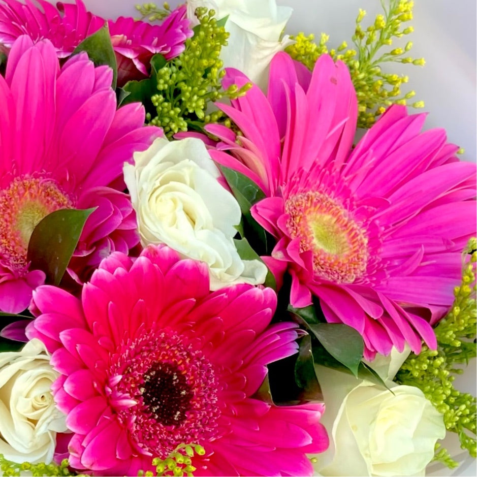 Ramo de Gerberas fiusha y Rosas blancas