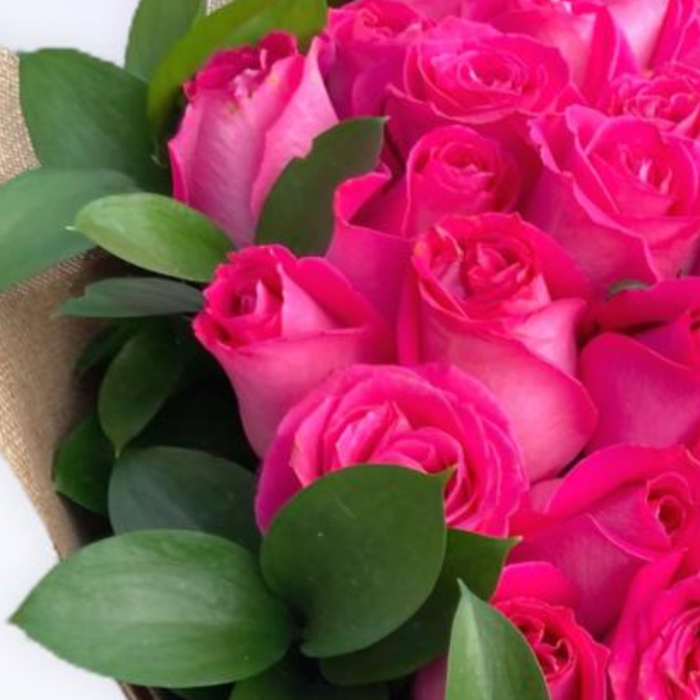 Ramo de 50 Rosas Fiusha