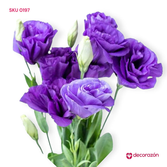 Lisianthus Morado Adicional